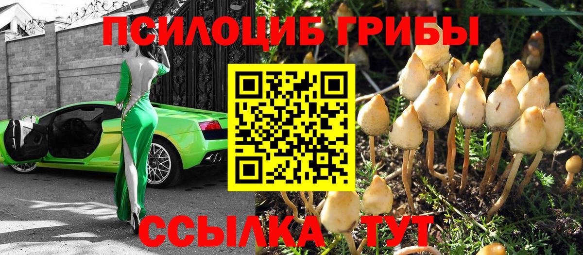 Псилоцибиновые грибы ЛСД Ишим