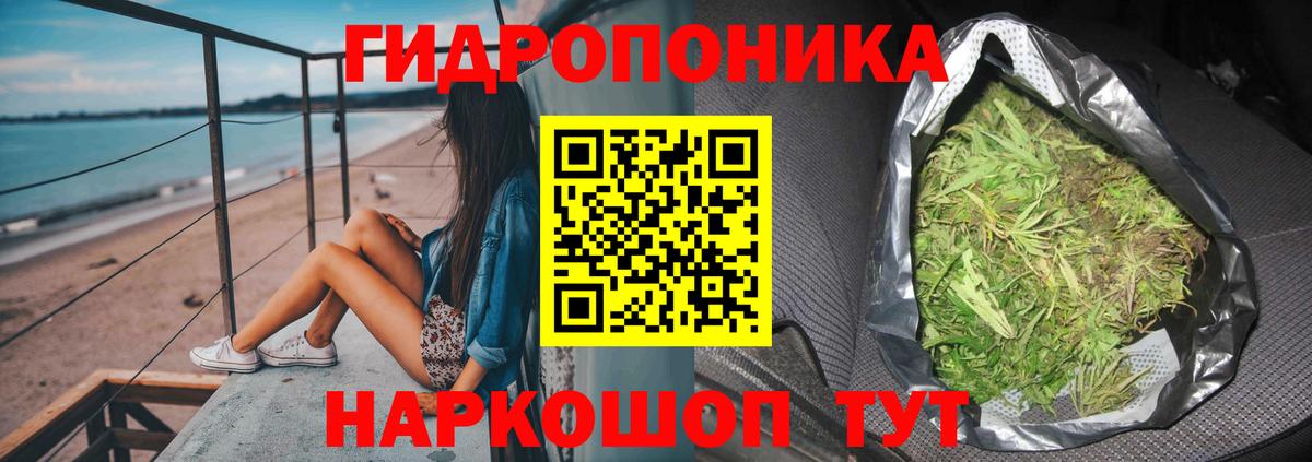 Каннабис планчик Ишим